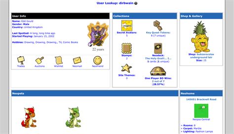 neopets accounts.